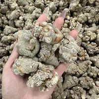 20头三七（田七）100g 传统滋补