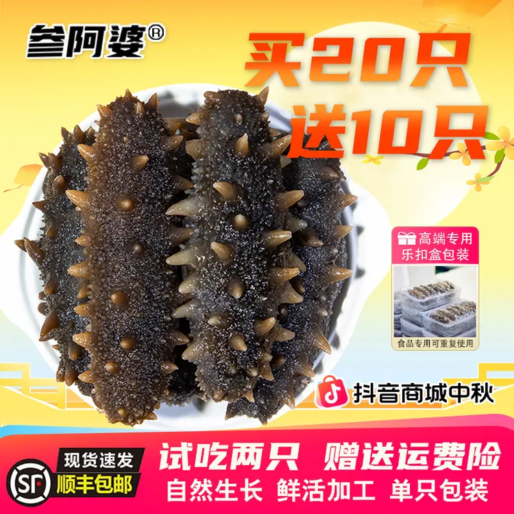 【中秋好礼】参阿婆鲜蒸海参即食新鲜海刺参买20送10头非淡干ZB-S