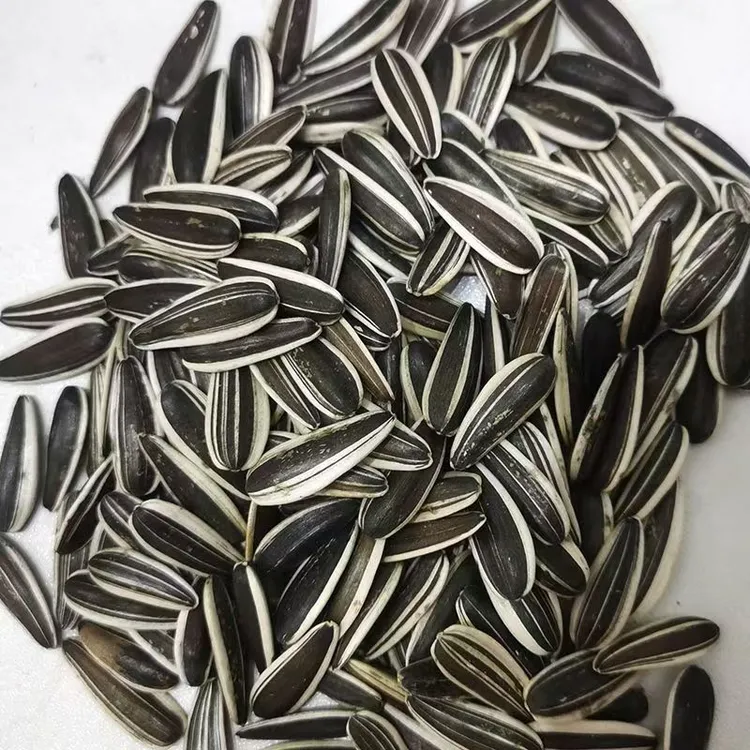 熟/柴火大铁锅现炒原味葵花籽解馋好磕新货盐炒瓜子小吃