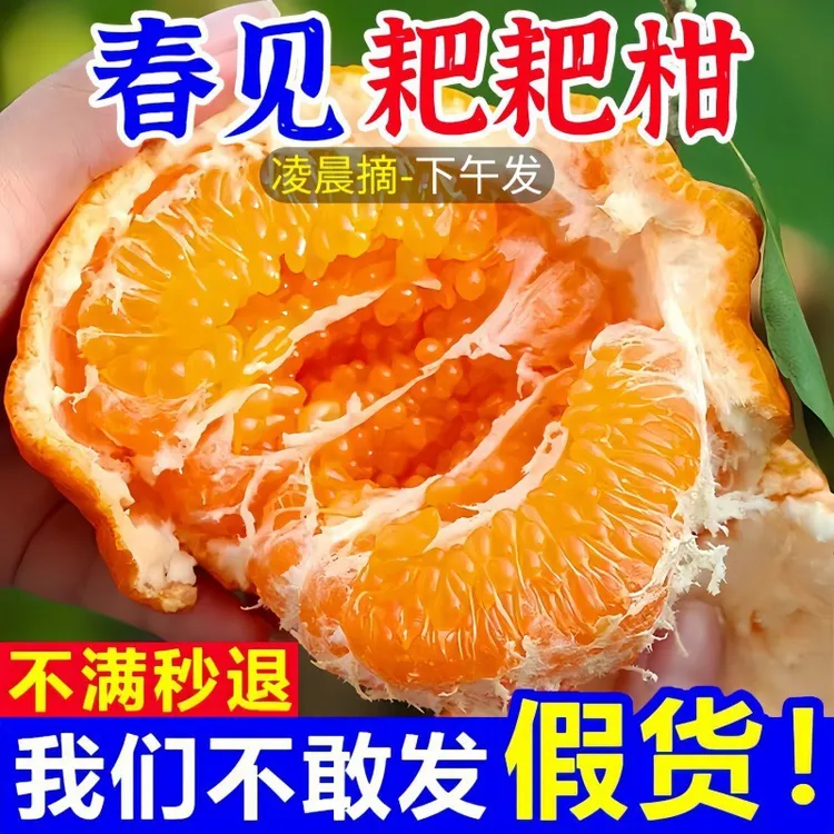 四川正宗春见耙耙柑橘子甜当季整箱新鲜水果粑粑柑超甜粑粑柑大果
