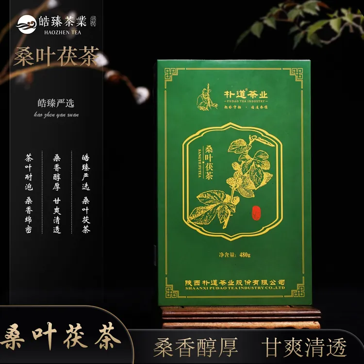 【皓臻严选】桑叶茯茶  陕西特产 泾阳茯茶 金花茯 480g朴道茯茶
