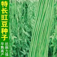 【全店满五包包邮】特长豇豆种子长豆角种子