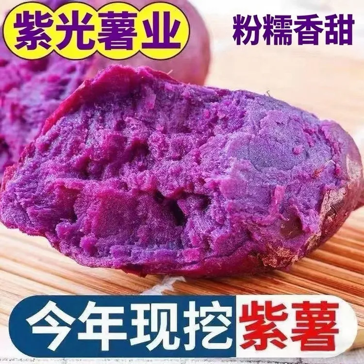 海上味道【商超品质】紫光薯业沙地番薯种植现挖紫薯紫罗兰地瓜蔬菜批发