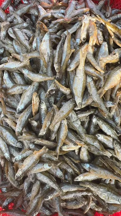 湖南怀化土特产油炸淡水小鱼小白条干货去内脏餐条鱼