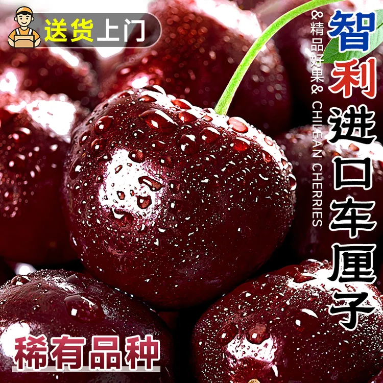 25年车厘子智利进口陆运新鲜水果2J当季水果大樱桃内附果径卡