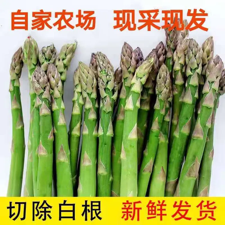 新鲜芦笋产地直发脆嫩多汁绿色食品健康蔬菜