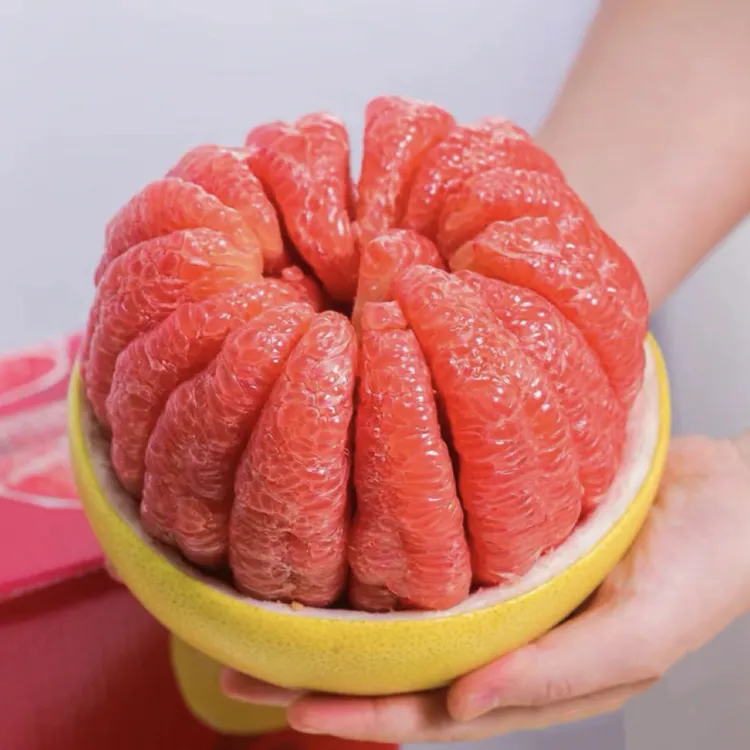 【红心蜜柚苗】正宗嫁接品种 南北方阳台庭院盆栽地栽柚子果树苗