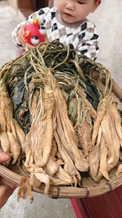 广西农家大头菜开胃菜