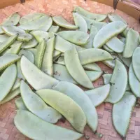 赶集干货干豆角临时链接