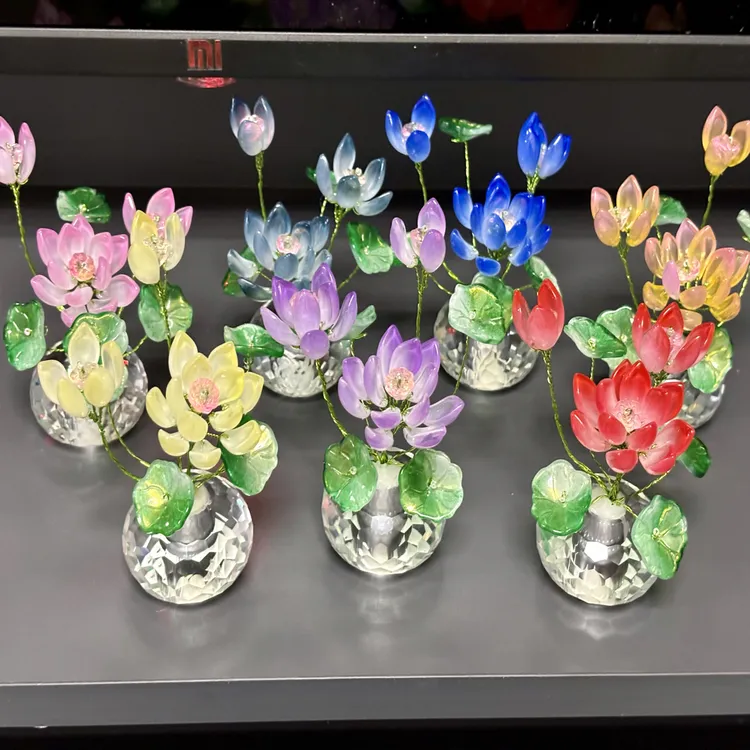 琉璃莲花小盆栽4盆送一盆材料包(定制颜色请备注哟,未备注随机发