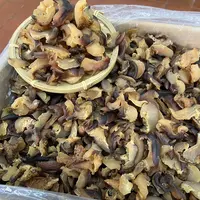 【切块螺肉干】海螺肉螺头海鲜干货新鲜淡干煲汤材料