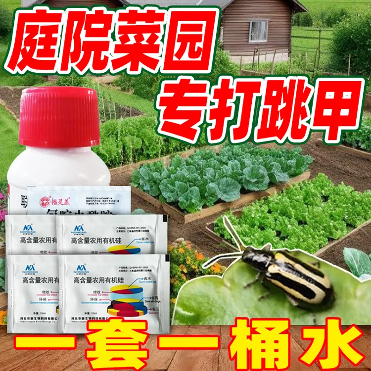 【一套6包 一套一桶水】庭院菜园白菜甘蓝叶菜类跳甲杀虫剂送有机硅