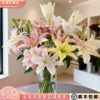次日达 -【五彩香水百合】混色百合10-12朵花苞鲜花鲜切花家居任意两单顺丰包邮三单送随机花瓶今天拍明天到ee