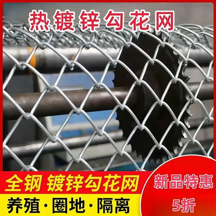 镀锌钢丝网围栏网防护网圈地围果园铁丝网勾花网养殖牛羊猪护栏网
