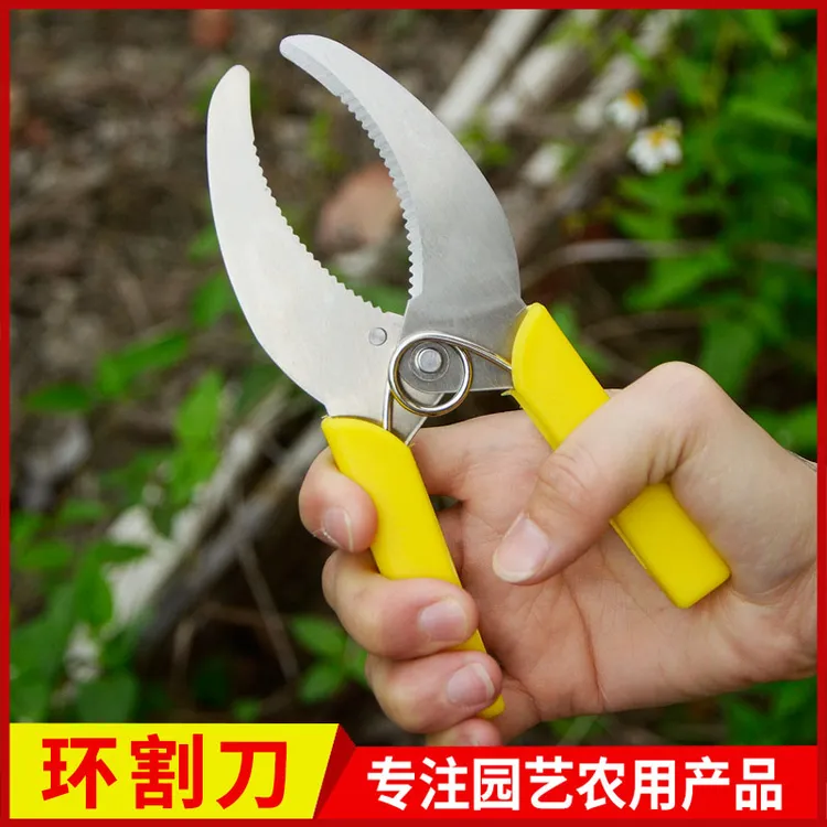 可调节柑橘葡萄枣树苹果树环剥剪割树皮刀果树环割刀环剥钳环剥刀