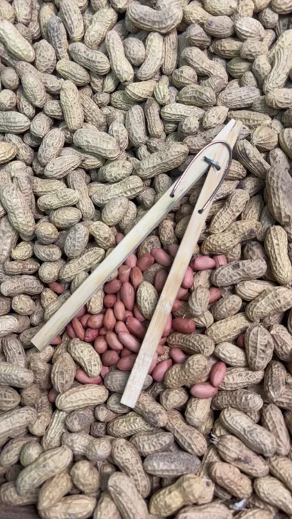 手工制作剥花生夹子