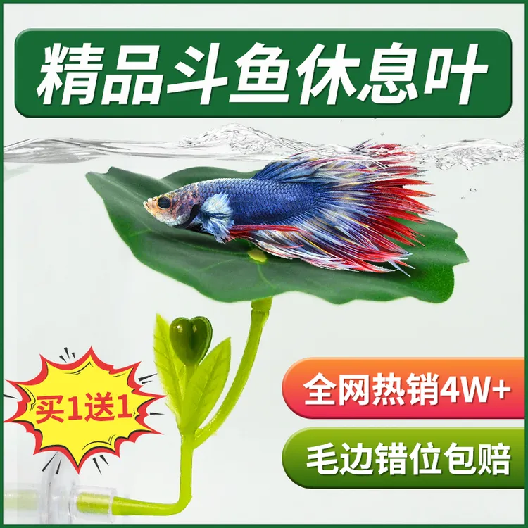 斗鱼休息躲避叶产卵荷叶子仿真水草树叶睡觉床鱼缸造景装饰摆件
