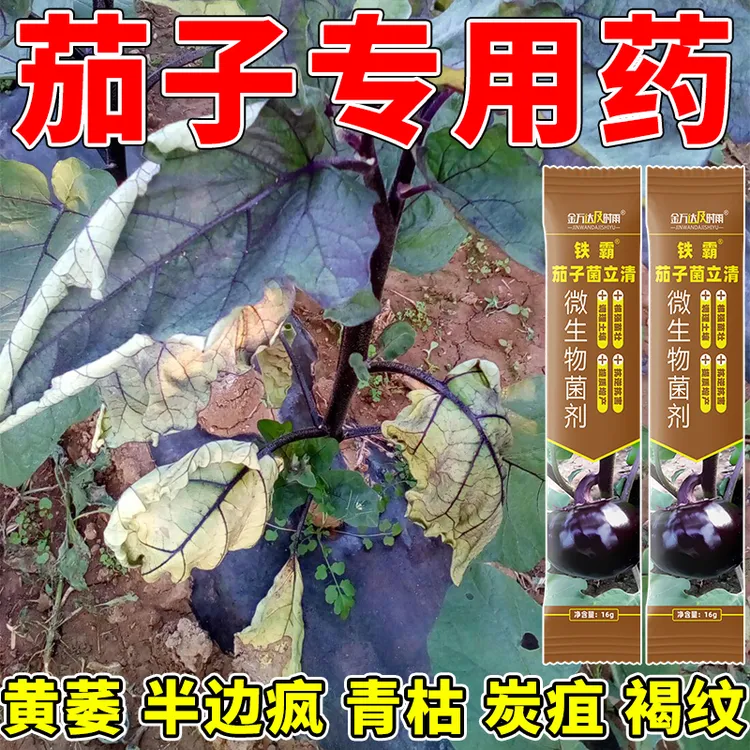 茄子专用药茄子病全治杀菌剂灰霉病炭疽病菌核病疫病枯萎病专用药