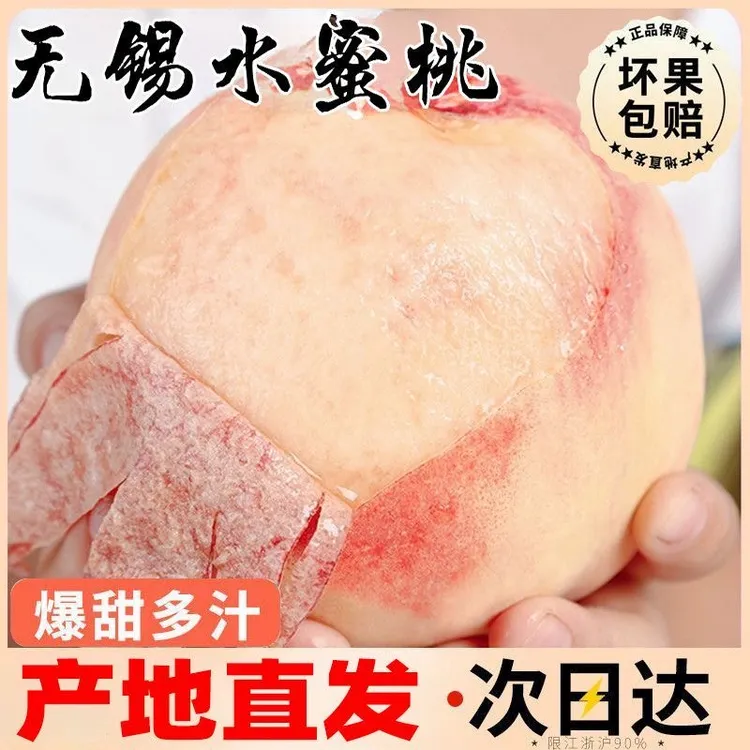 【买6送6】无锡杨白凤湖景新鲜特大水蜜桃放软撕皮爆汁锡山冷链包邮