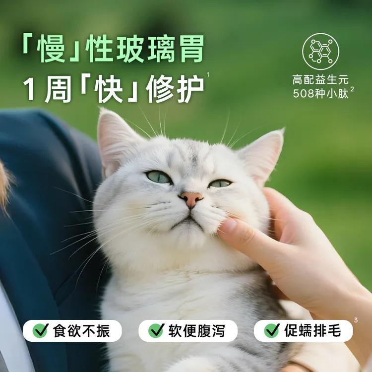 曼赤肯ID肠胃护理处方罐头猫湿粮营养补充剂增肥发腮促食欲促消化