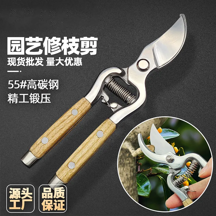 不锈钢树枝修枝剪采摘水果花木剪园林果树花卉枝嫁接园艺剪刀工具