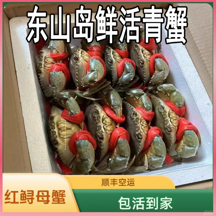【包活】超大红膏蟹8两到一斤特大红鲟青蟹红膏母蟹红膏蟹鲜活螃蟹