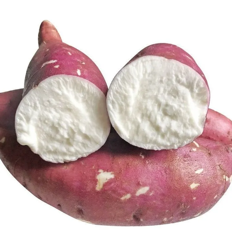白心牛奶红薯河南特产农家自种新鲜白心红薯白瓤地瓜干面3/5/9斤