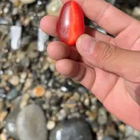 未镶嵌石英岩玉车挂