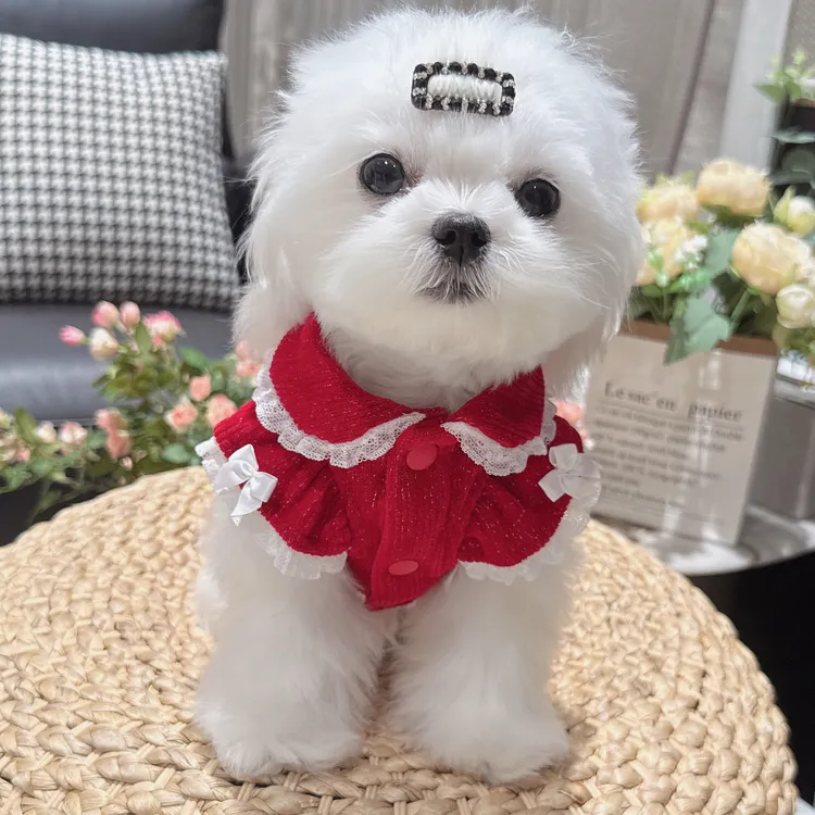 新款宠物服灯芯绒娃娃领新年服