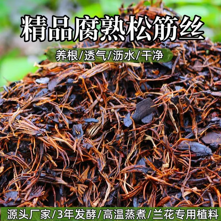 腐熟发酵松塔中药材松筋丝兰花君子兰批发蝴蝶兰图片专用松塔壳