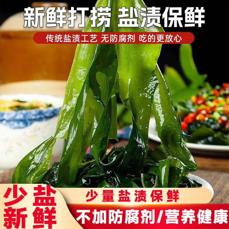 （25年新菜)新鲜盐渍裙带菜裙带叶凉拌烫火锅（带箱5斤）