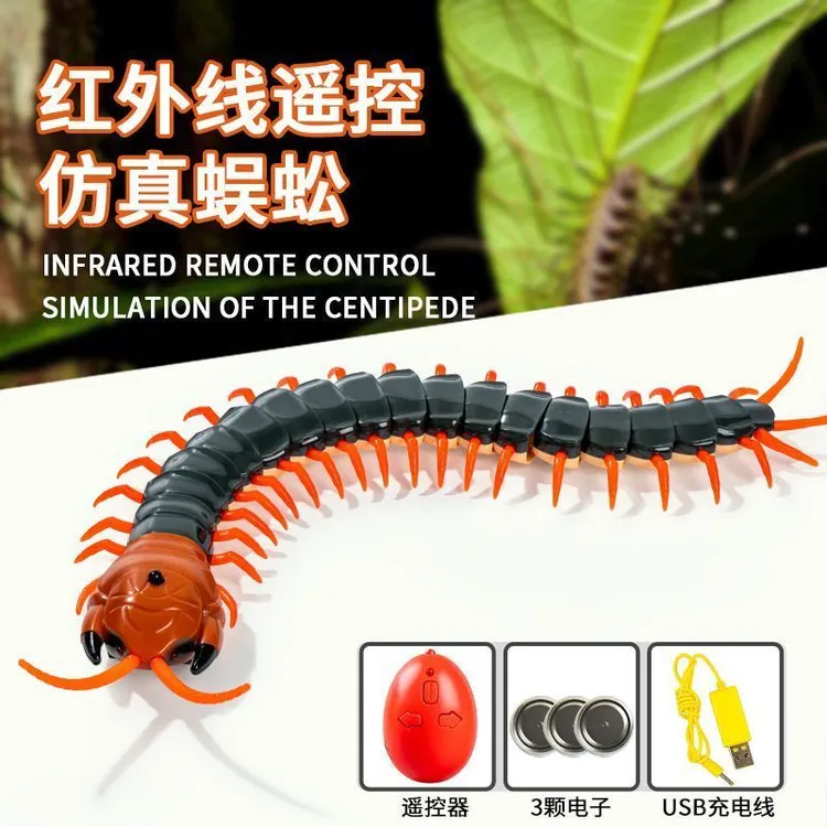 遥控电动仿真无线电动昆虫蛇蜘蛛蜈蚣蚂蚁乌龟3网红七星瓢虫玩具