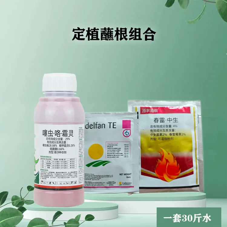 移栽定植苗盘蘸根组合杀虫杀菌