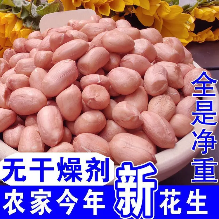 河南粉皮花生米2024年新鲜花生米颗粒饱满香甜可口新鲜生花生米