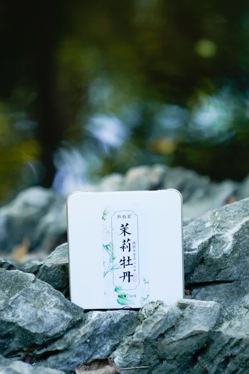 福建高山茉莉花与白茶牡丹搭配的紧压调味花香毫香茉莉花茶