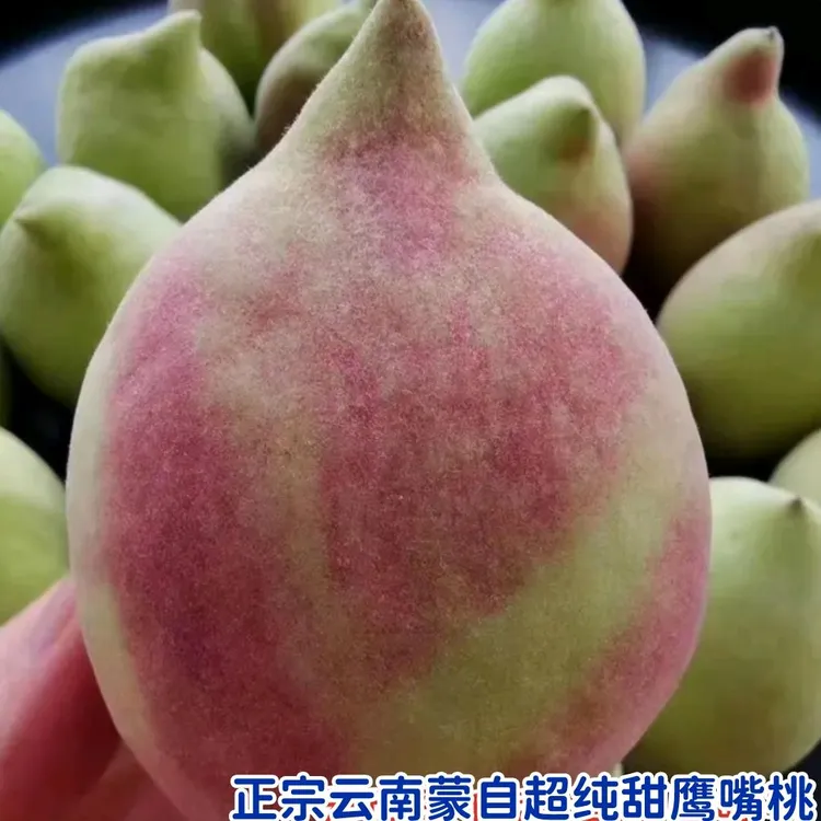云南蒙自超甜鹰嘴桃新鲜现摘开远水蜜桃子脆甜