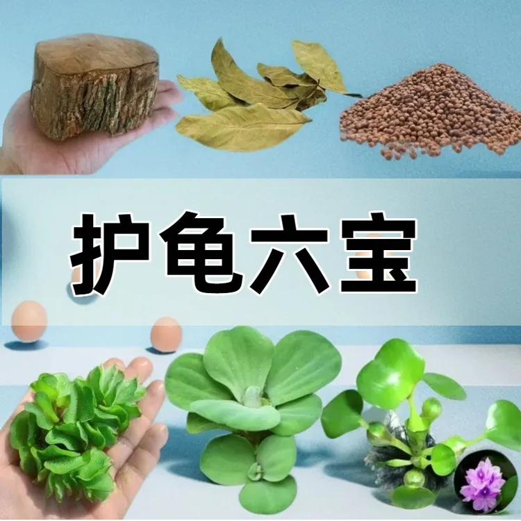 乌龟养护专用龙眼木晒台爬坡躲避窝净化水质水草绿植造景摆件用品
