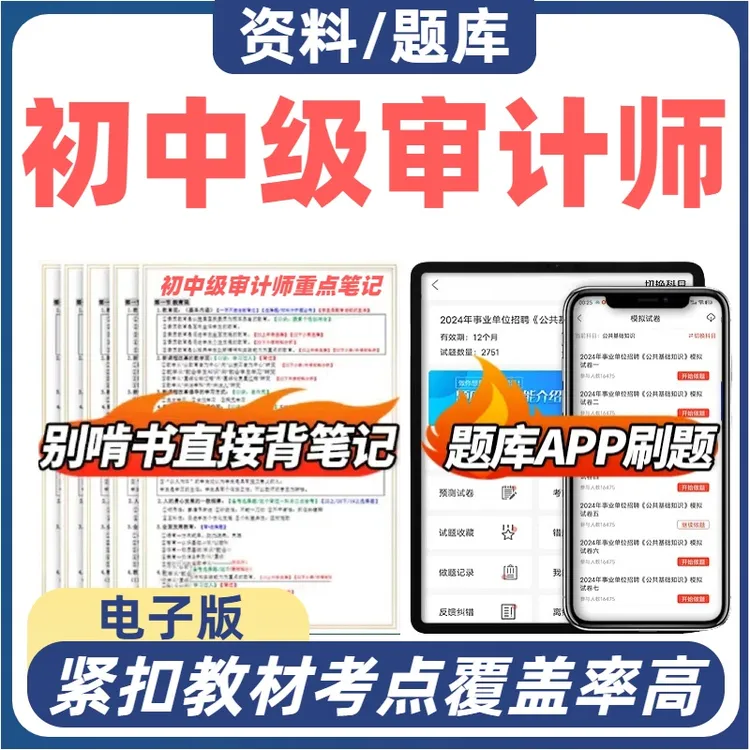 2025年初级中级审计师三色资料笔记题目电子版
