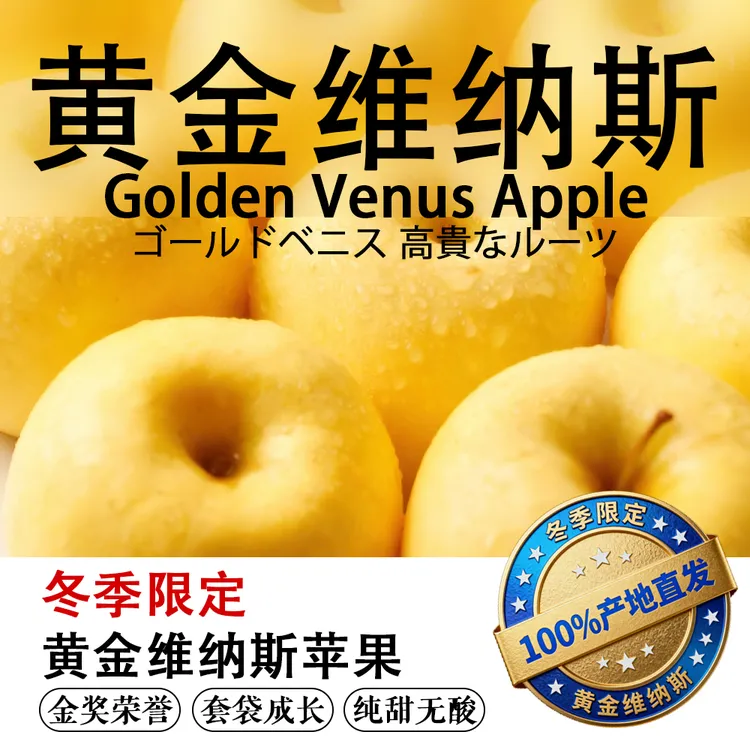 烟台维纳斯苹果·2025冬季限定黄金维纳斯苹果脆甜多汁蜜香浓郁