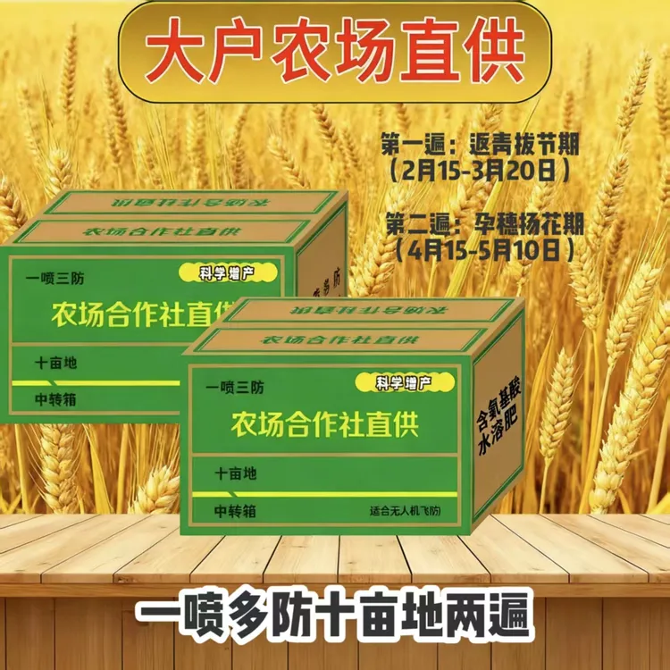 奔奔小麦促分蘖防冻，提质增产抗干热风叶面肥