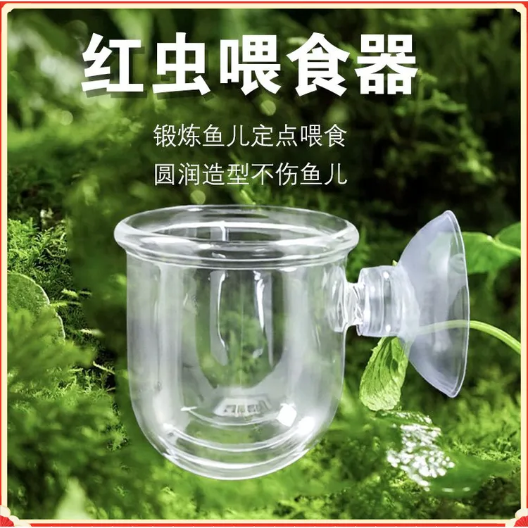 带包装水草玻璃红虫杯水晶红虫喂食器虾缸线虫投食杯切缝针孔H