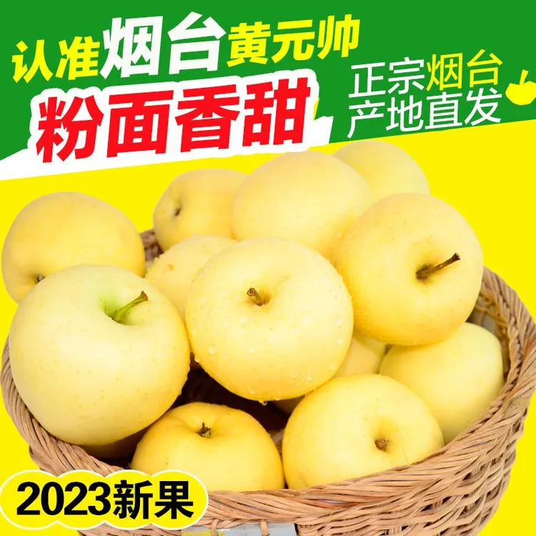 正宗烟台黄元帅苹果水果黄金帅粉面沙甜黄苹果应季黄香蕉山东特产