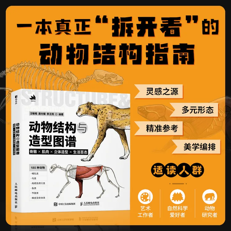 动物结构与造型图谱 骨骼×肌肉×立体造型×生活百态