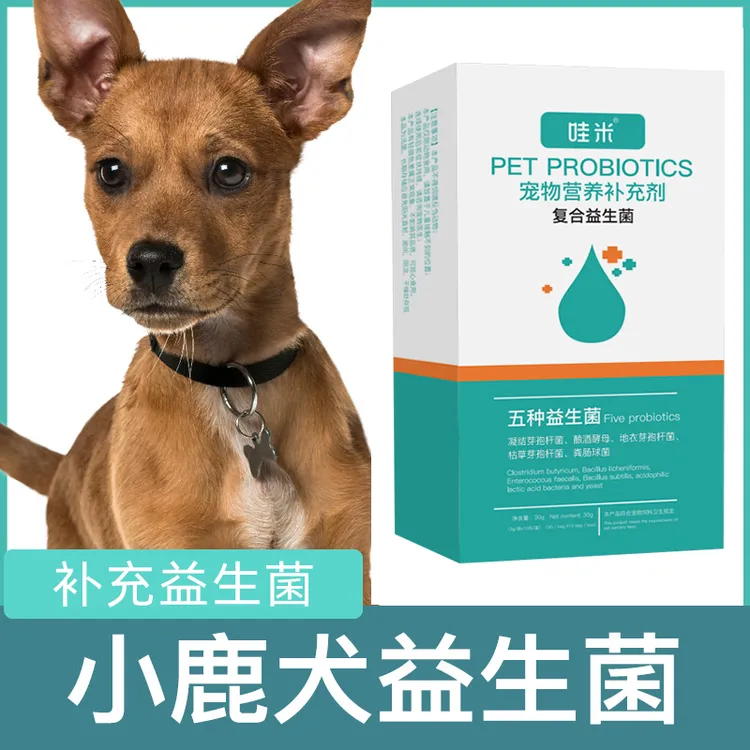 小鹿犬专用益生菌粉宠物犬用狗狗幼犬成犬小狗肠胃宝肠道消化宝