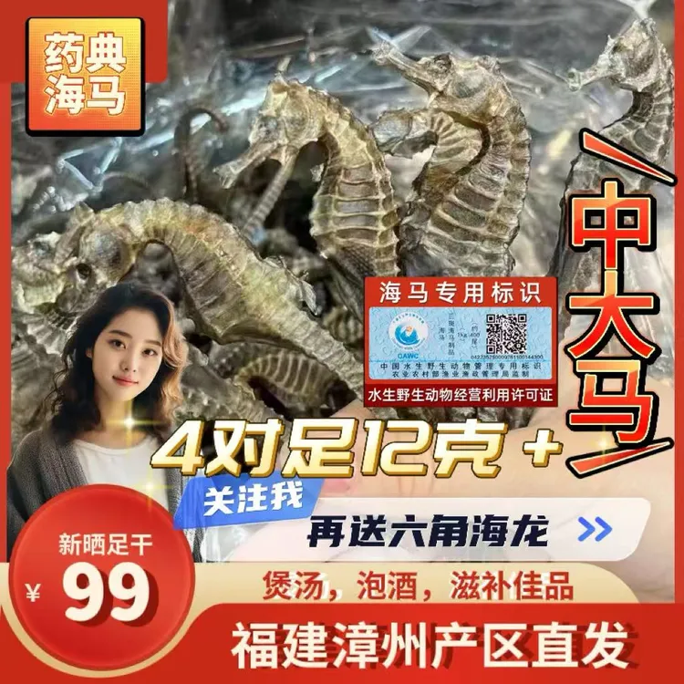 【12克/8只线纹中大马】福建药典海马干货煲汤泡酒滋补营养