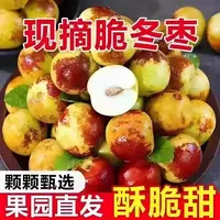 正宗冰糖心冬枣新鲜现摘现发坏果包赔