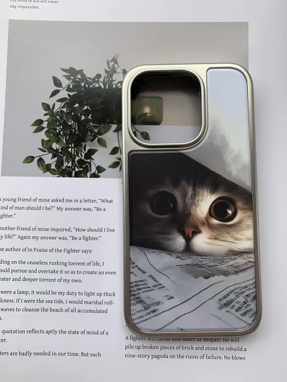 biubiu菌.小众可爱调皮猫咪iPhone16promax电镀银磨砂磁吸手机壳