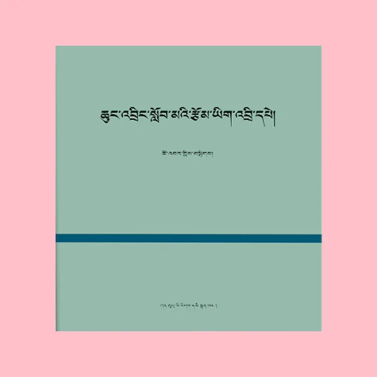 2025年最新正版藏文民族书店中小学生作文范例藏文版作文书书籍