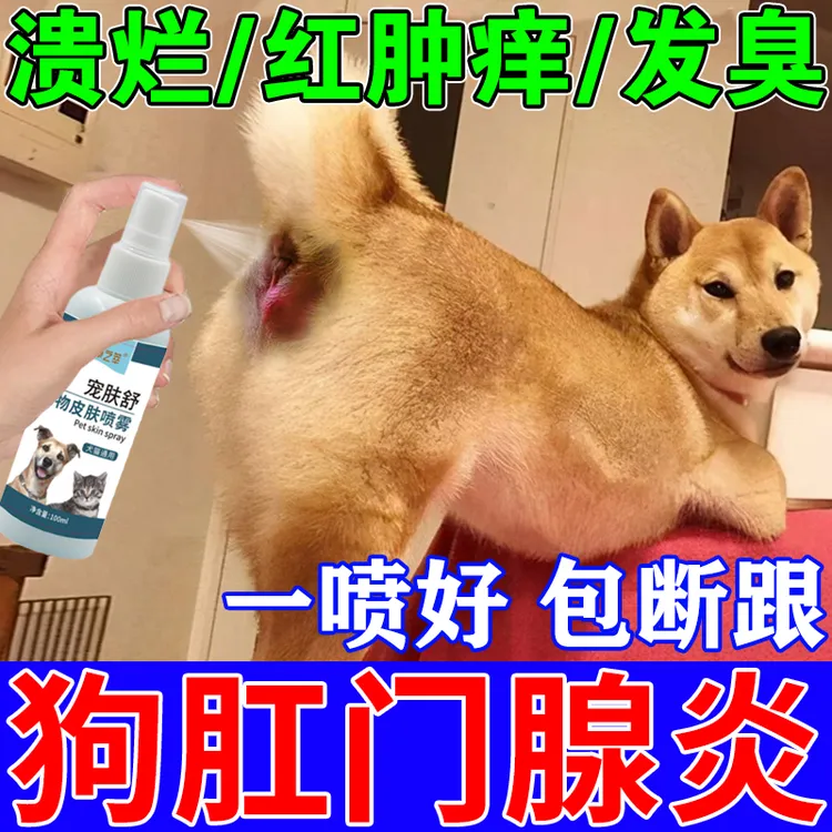 狗狗肛门腺炎狗狗肛周发炎红肿屁股流脓瘙痒蹭地喷剂