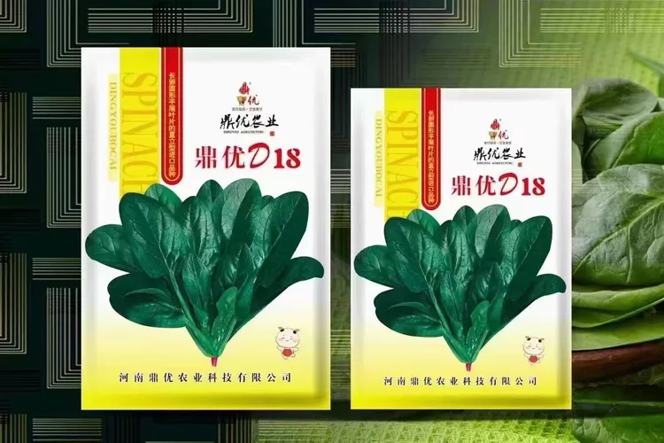 春秋越冬品种，鹅卵叶，颜色油亮，抗逆性强，产量高蔬菜